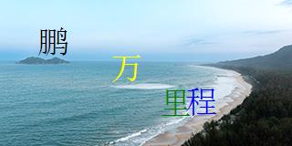 图形验证码